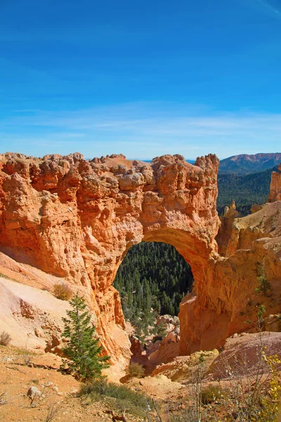 Bryce Kanyonu Ulusal Parkı 