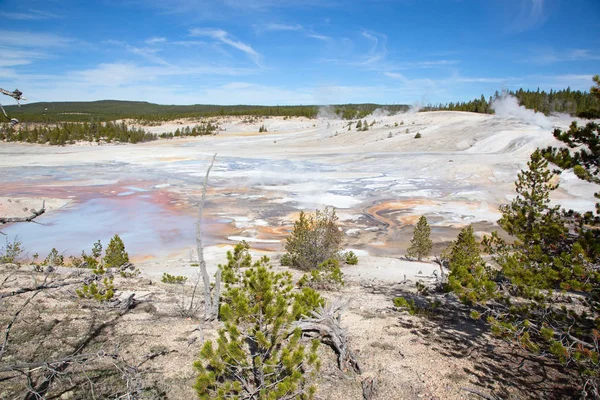 Norris Gayzer Havzası