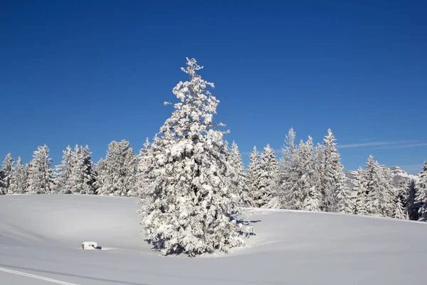 Inverno em alpes suíços — Fotografia de Stock