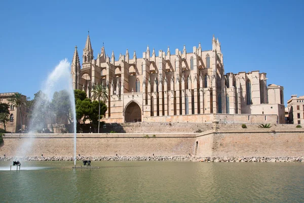 Palma de Mallorca şehir İspanya