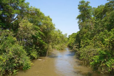Nehir Iguazu Arjantin tarafında