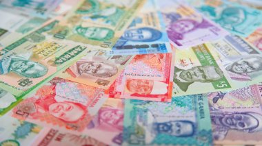 Afrika banknotlar çeşitli