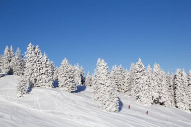 İsviçre Alplerinde kış