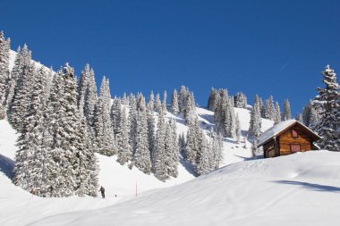 İsviçre Alplerinde kış