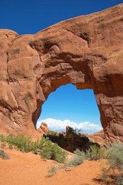 Ünlü çam ağacı kemer