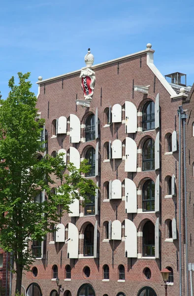 Traditionelle Häuser des Amsterdams — Stockfoto