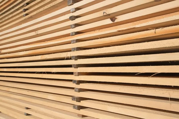 Stapel van nieuwe houten studs — Stockfoto