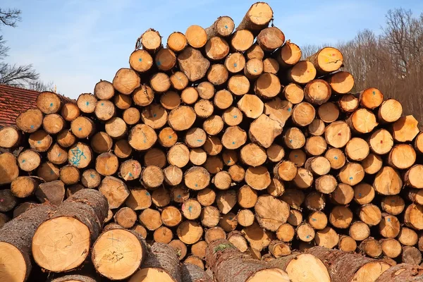 Stack of new wooden studs — Stock Photo, Image