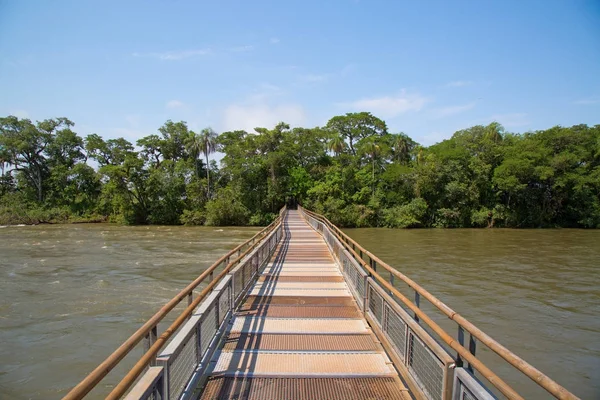River Iguazu on Argentinian side — Stock Photo, Image