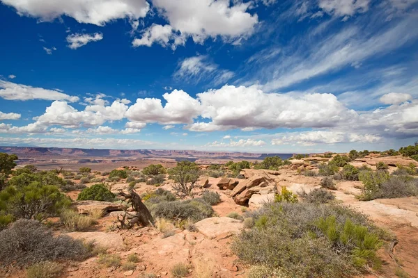 Canyonlands Narional Park — Stockfoto