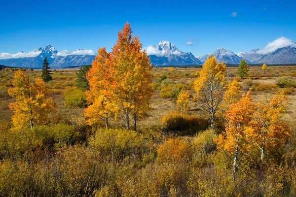 Národní park Grand Teton — Stock fotografie