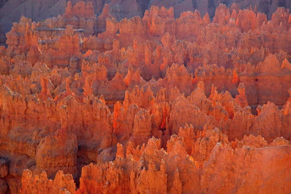 Bryce canyon national park — Stock Photo, Image