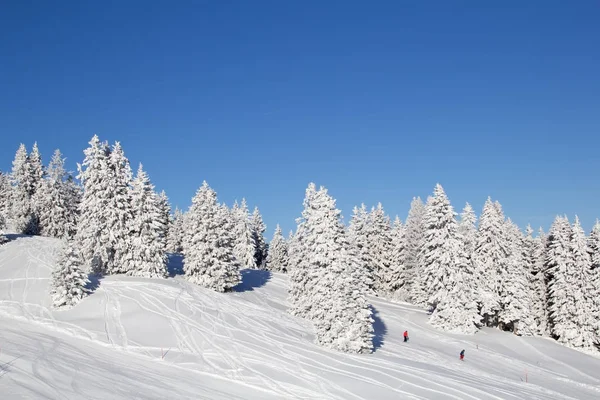 Inverno sulle Alpi svizzere — Foto Stock