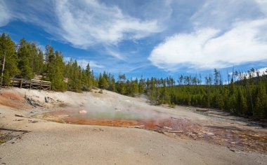 Yellowstone Milli Parkı