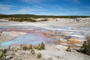 Yellowstone Milli Parkı