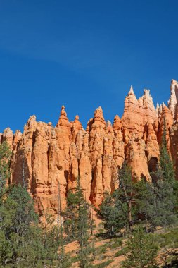 Utah 'taki Ulusal Park