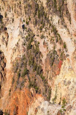 Yellowstone Milli Parkı