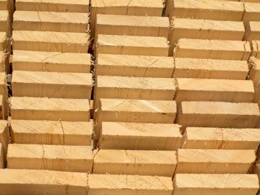 Yeni ahşap Çıtçıt