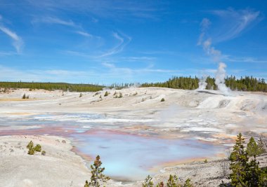 Yellowstone Milli Parkı