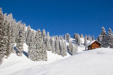 İsviçre Alplerinde kış