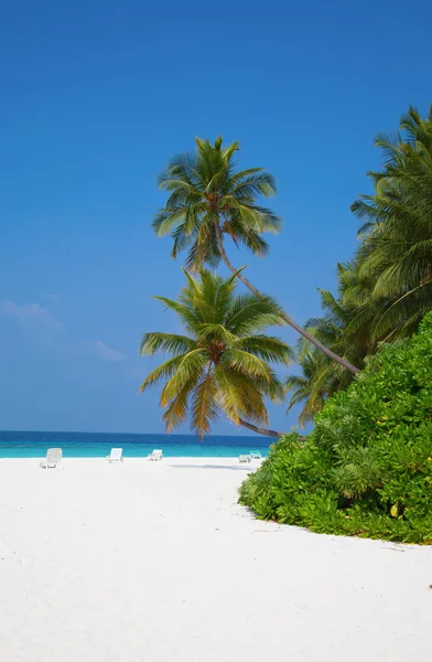 Тропический Мальдивский остров . — стоковое фото