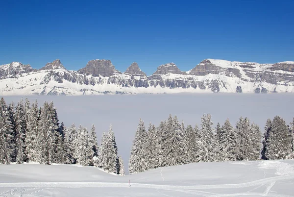 Vinter i schweiziska alperna — Stockfoto
