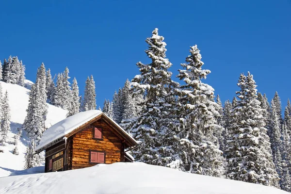 İsviçre Alplerinde kış