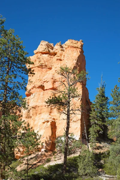 Parque Nacional en Utah — Foto de Stock