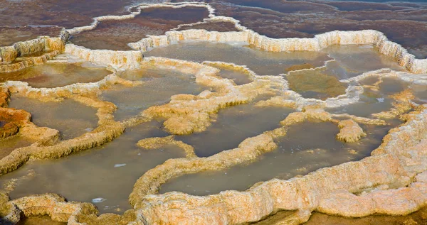 Yellowstone Nemzeti park — Stock Fotó