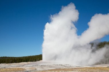 Yellowstone Milli Parkı