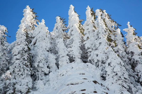 Sneeuw in de Zwitserse Alpen — Stockfoto