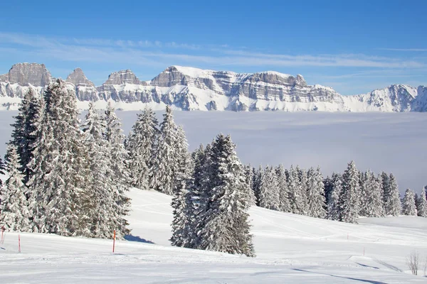 Winter in the swiss alps — Stock Photo, Image