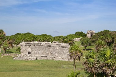 Maya kalenin kalıntıları