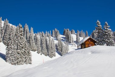 İsviçre Alplerinde kış