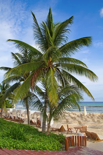 Kumlu plaj Cancun içinde — Stok fotoğraf