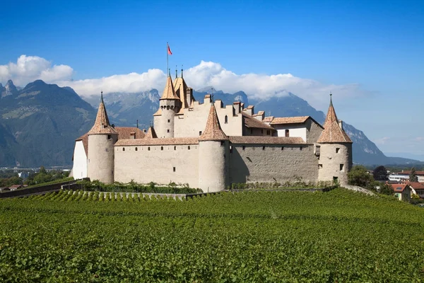 Castle Chateau d'Aigle — стокове фото