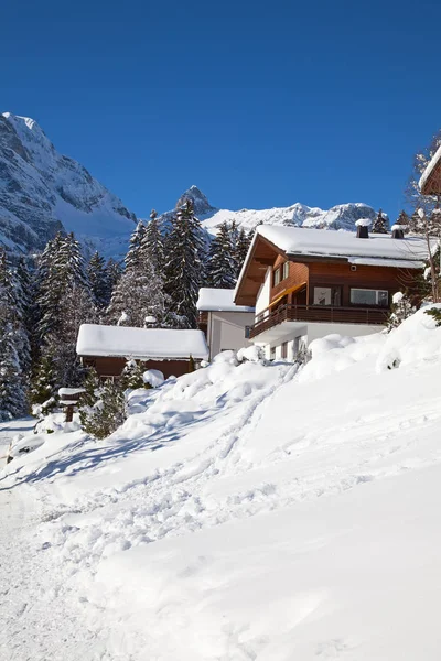 Inverno sulle Alpi svizzere — Foto Stock