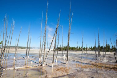 alt Şofben Havzası