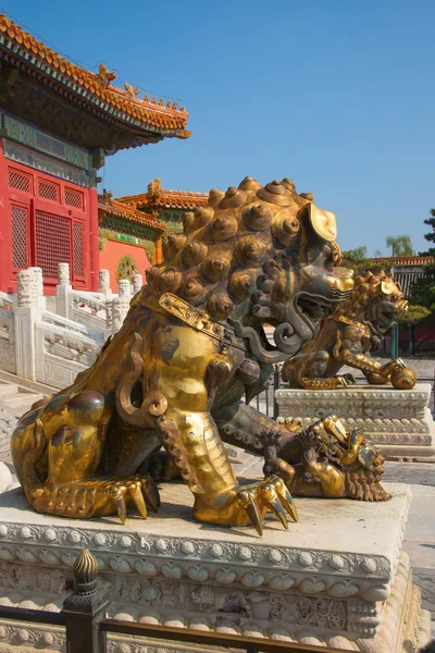 De verboden stad (Palace museum) — Stockfoto