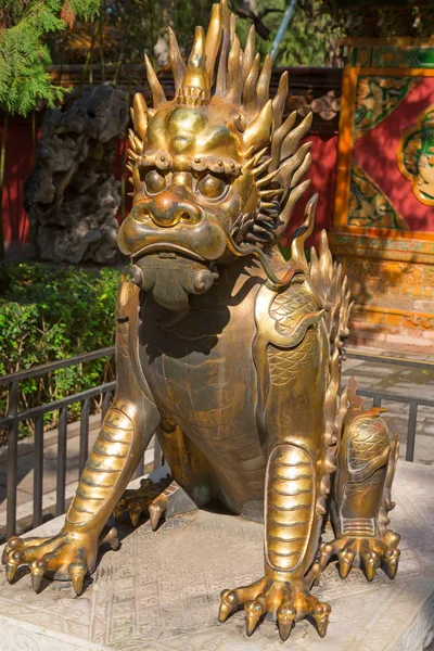 The Forbidden City (Palace museum) — Stock Photo, Image