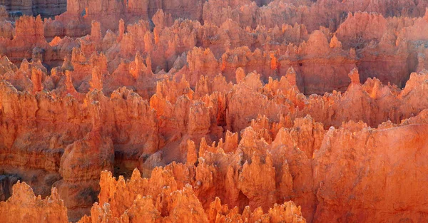 Bryce canyon national park — Stock Photo, Image