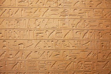 Duvarda Mısır hiyeroglifleri