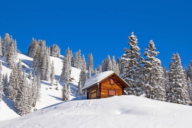 İsviçre Alplerinde kış