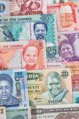 Afrika banknotlarının çeşitliliği