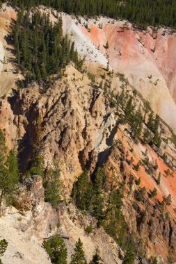 Yellowstone Milli Parkı