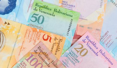 Güney Amerika banknotlarının çeşitliliği