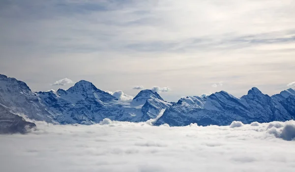 Paisaje invernal en la región de Jungfrau —  Fotos de Stock