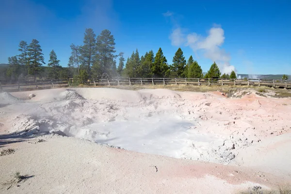 Dorzecze Dolnego Gejzera Parku Narodowym Yellowstone Usa — Zdjęcie stockowe