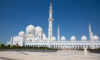 Sheikh zayed Camisi