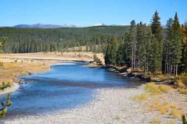 Yellowstone Milli Parkı